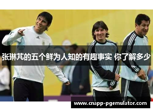 张琳芃的五个鲜为人知的有趣事实 你了解多少