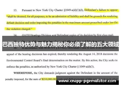 巴西独特优势与魅力揭秘你必须了解的五大领域