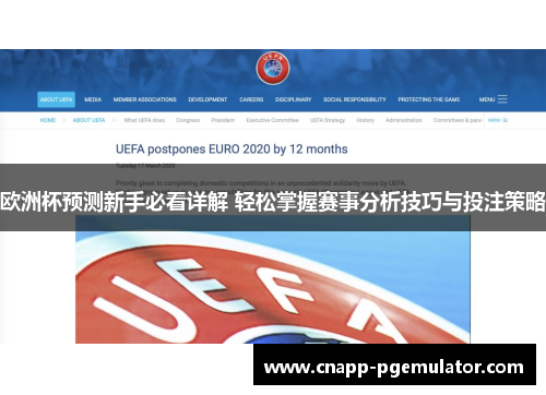 欧洲杯预测新手必看详解 轻松掌握赛事分析技巧与投注策略