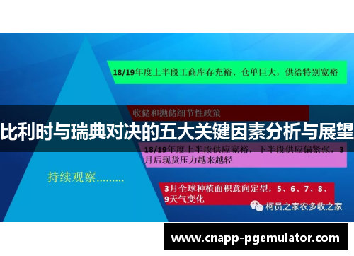 比利时与瑞典对决的五大关键因素分析与展望
