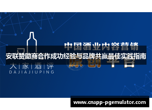 安联赞助商合作成功经验与品牌共赢最佳实践指南