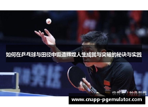 如何在乒乓球与田径中锻造辉煌人生成就与突破的秘诀与实践