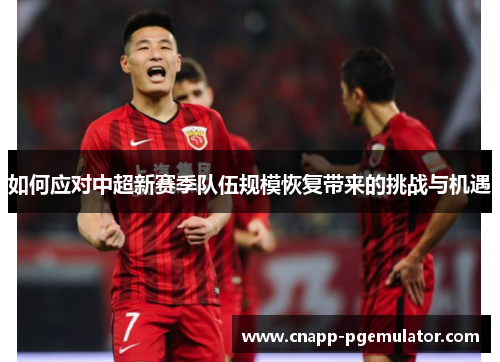如何应对中超新赛季队伍规模恢复带来的挑战与机遇
