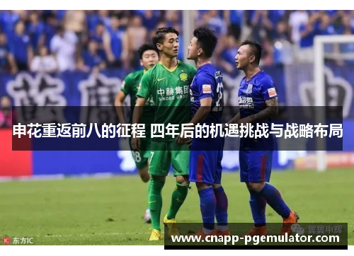 申花重返前八的征程 四年后的机遇挑战与战略布局