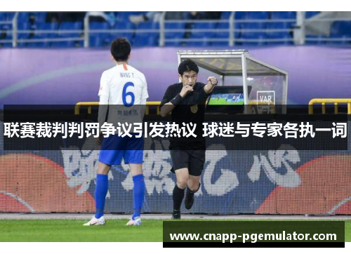 联赛裁判判罚争议引发热议 球迷与专家各执一词