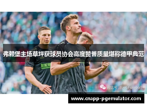 弗赖堡主场草坪获球员协会高度赞誉质量堪称德甲典范